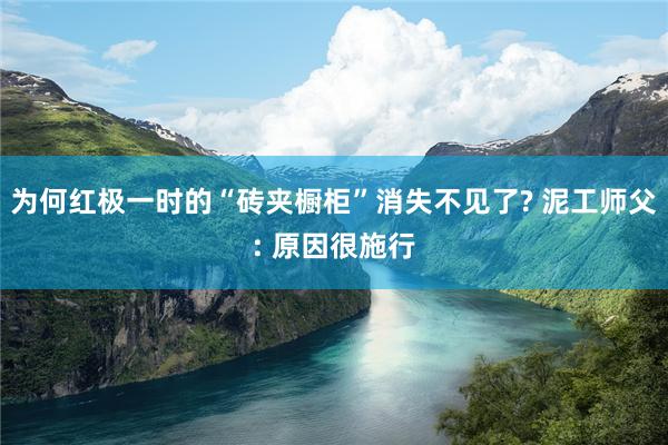 为何红极一时的“砖夹橱柜”消失不见了? 泥工师父: 原因很施行