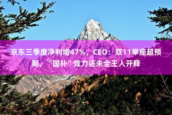 京东三季度净利增47%，CEO：双11举座超预期，“国补”效力还未全王人开释