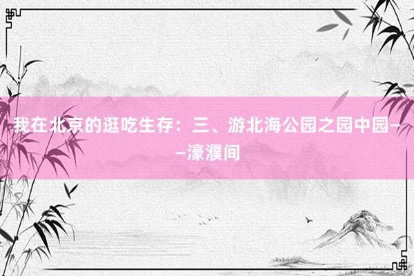 我在北京的逛吃生存：三、游北海公园之园中园——濠濮间